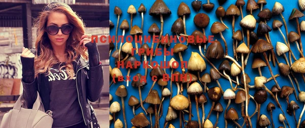 прущие крисы Алексин