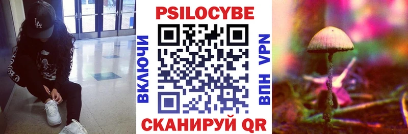 darknet состав  Подольск  Псилоцибиновые грибы ЛСД  продажа наркотиков  MEGA зеркало 